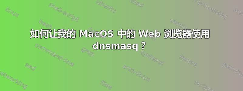 如何让我的 MacOS 中的 Web 浏览器使用 dnsmasq？