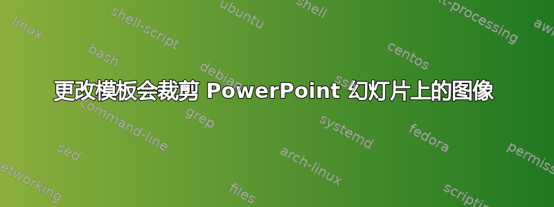 更改模板会裁剪 PowerPoint 幻灯片上的图像