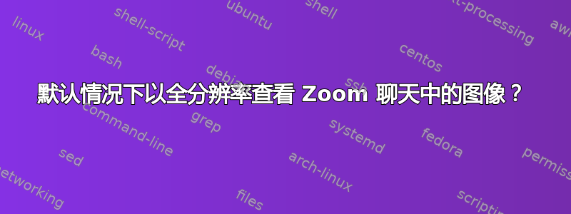 默认情况下以全分辨率查看 Zoom 聊天中的图像？