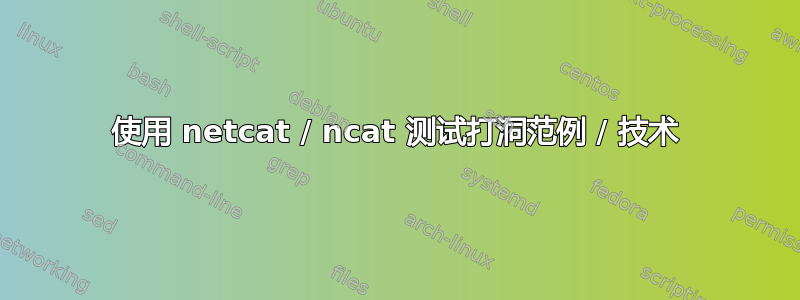 使用 netcat / ncat 测试打洞范例 / 技术