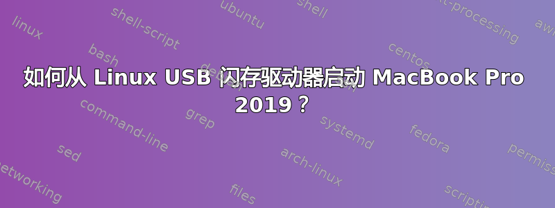 如何从 Linux USB 闪存驱动器启动 MacBook Pro 2019？