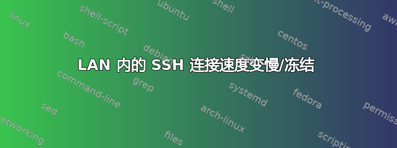 LAN 内的 SSH 连接速度变慢/冻结