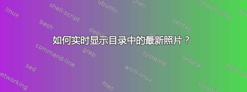 如何实时显示目录中的最新照片？