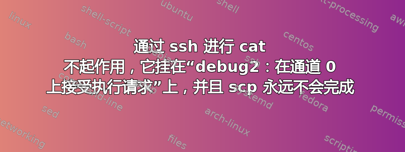 通过 ssh 进行 cat 不起作用，它挂在“debug2：在通道 0 上接受执行请求”上，并且 scp 永远不会完成