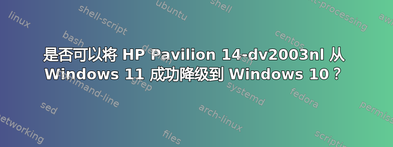 是否可以将 HP Pavilion 14-dv2003nl 从 Windows 11 成功降级到 Windows 10？