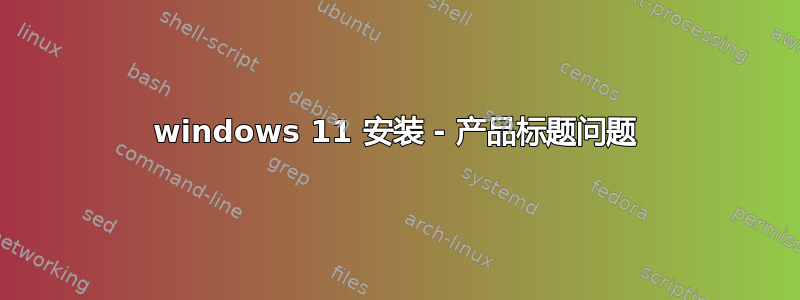 windows 11 安装 - 产品标题问题