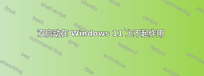 双启动在 Windows 11 上不起作用