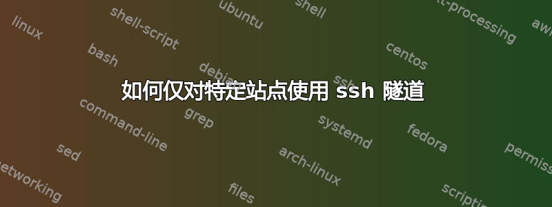 如何仅对特定站点使用 ssh 隧道