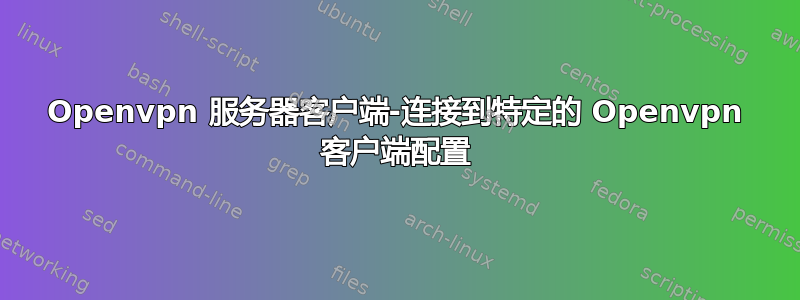 Openvpn 服务器客户端-连接到特定的 Openvpn 客户端配置