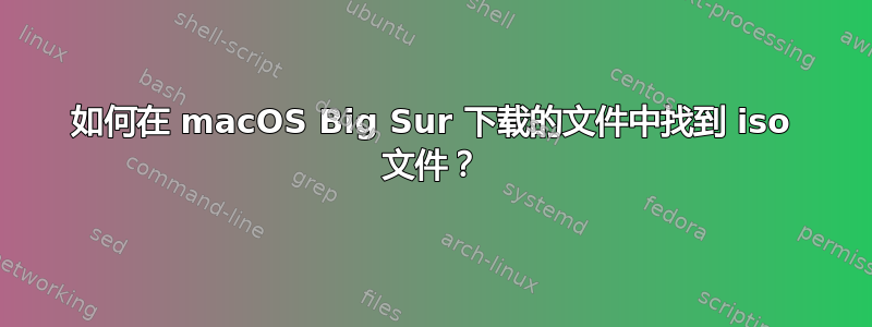 如何在 macOS Big Sur 下载的文件中找到 iso 文件？