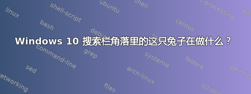 Windows 10 搜索栏角落里的这只兔子在做什么？