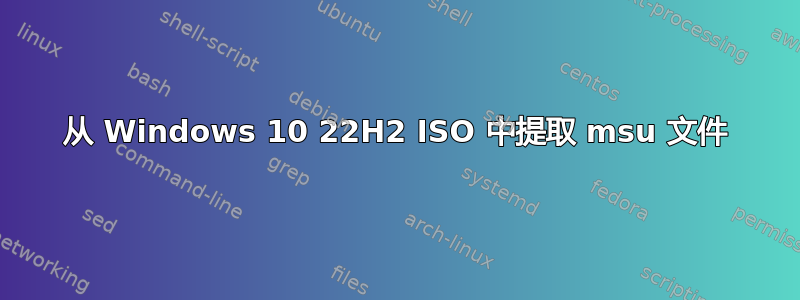 从 Windows 10 22H2 ISO 中提取 msu 文件