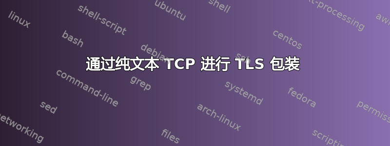 通过纯文本 TCP 进行 TLS 包装