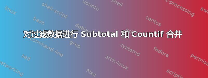 对过滤数据进行 Subtotal 和 Countif 合并