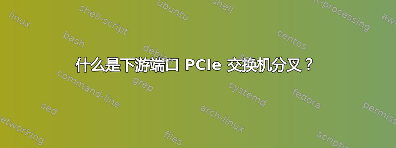 什么是下游端口 PCIe 交换机分叉？