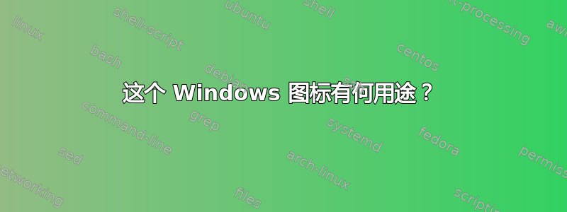 这个 Windows 图标有何用途？