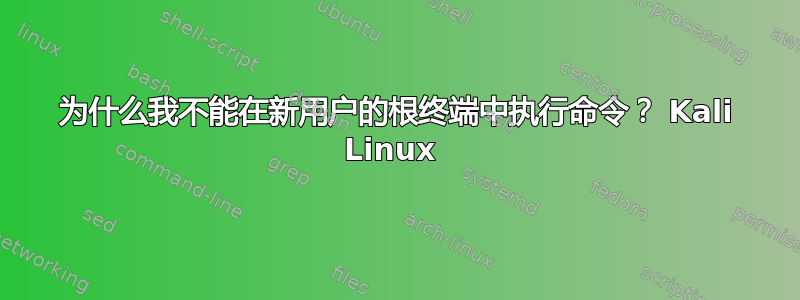 为什么我不能在新用户的根终端中执行命令？ Kali Linux 