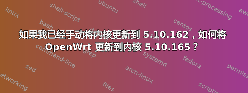 如果我已经手动将内核更新到 5.10.162，如何将 OpenWrt 更新到内核 5.10.165？