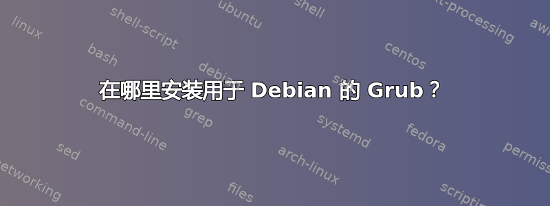 在哪里安装用于 Debian 的 Grub？