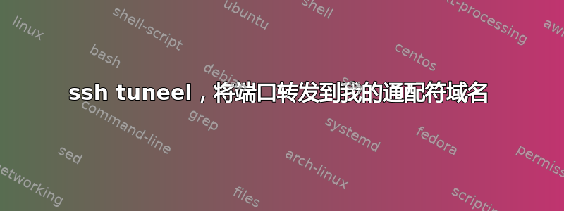 ssh tuneel，将端口转发到我的通配符域名