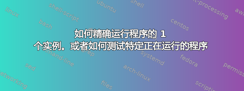 如何精确运行程序的 1 个实例。或者如何测试特定正在运行的程序