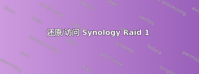 还原/访问 Synology Raid 1