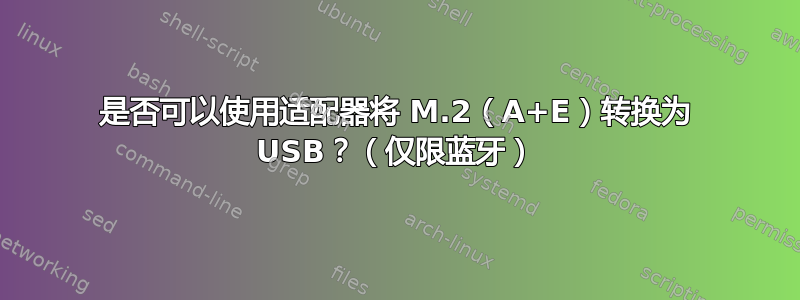 是否可以使用适配器将 M.2（A+E）转换为 USB？（仅限蓝牙）