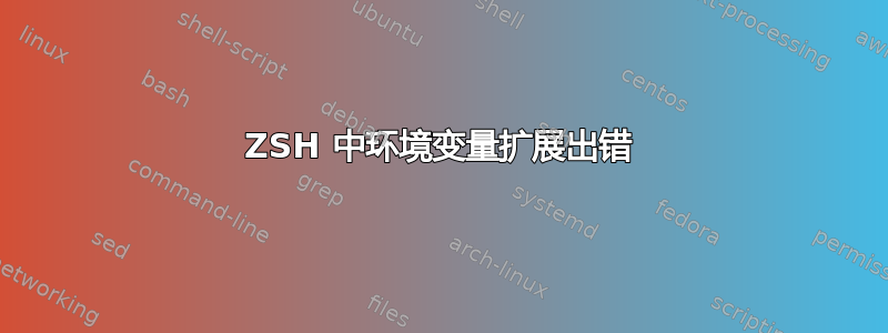 ZSH 中环境变量扩展出错