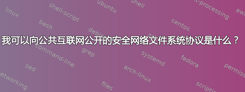 我可以向公共互联网公开的安全网络文件系统协议是什么？