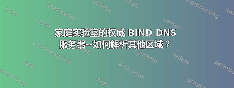 家庭实验室的权威 BIND DNS 服务器--如何解析其他区域？