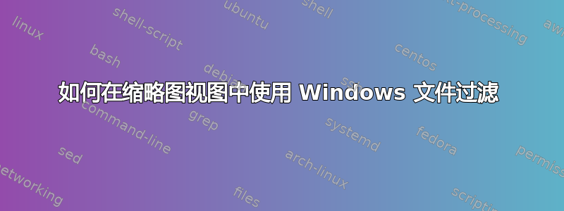 如何在缩略图视图中使用 Windows 文件过滤