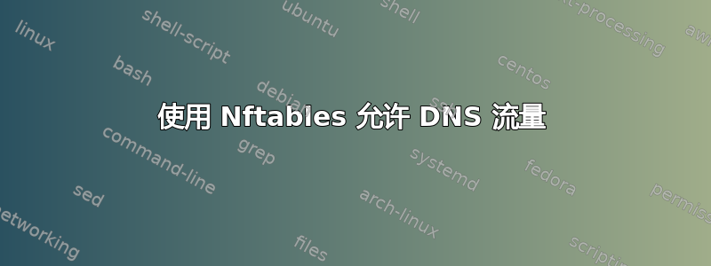 使用 Nftables 允许 DNS 流量