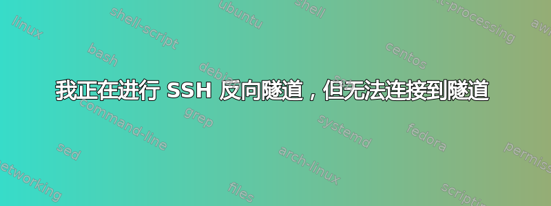 我正在进行 SSH 反向隧道，但无法连接到隧道