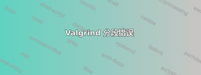 Valgrind 分段错误