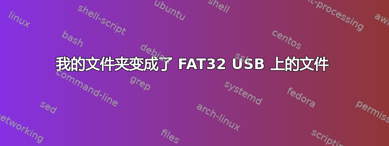 我的文件夹变成了 FAT32 USB 上的文件