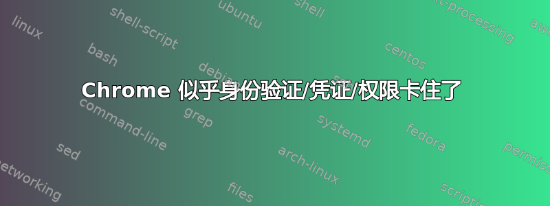 Chrome 似乎身份验证/凭证/权限卡住了