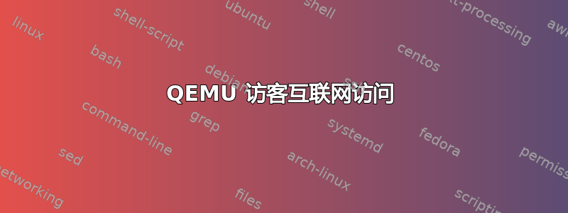 QEMU 访客互联网访问