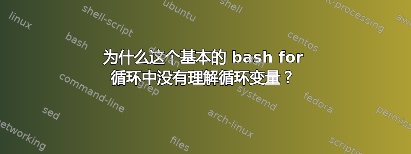 为什么这个基本的 bash for 循环中没有理解循环变量？