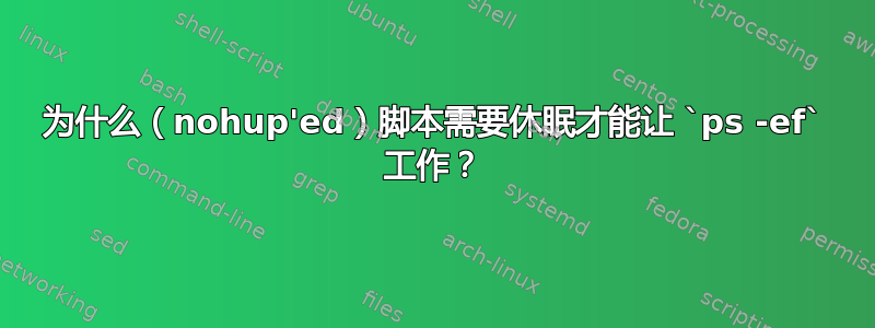 为什么（nohup'ed）脚本需要休眠才能让 `ps -ef` 工作？