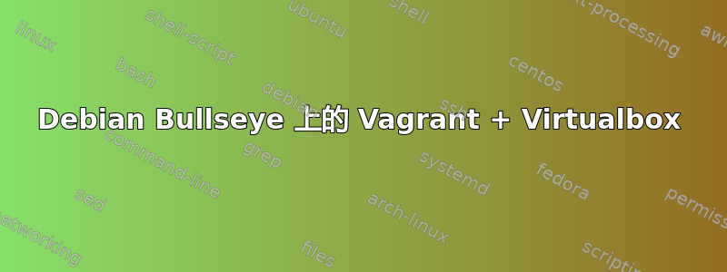 Debian Bullseye 上的 Vagrant + Virtualbox