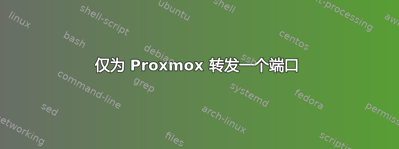 仅为 Proxmox 转发一个端口