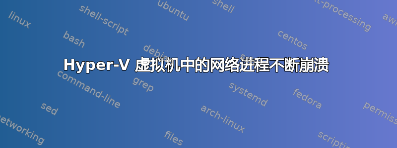 Hyper-V 虚拟机中的网络进程不断崩溃