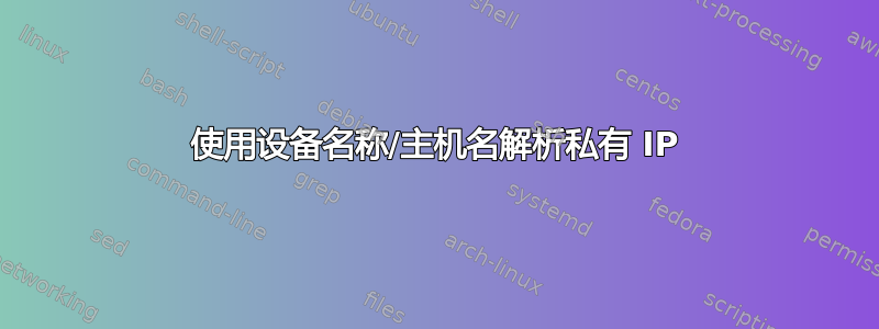 使用设备名称/主机名解析私有 IP