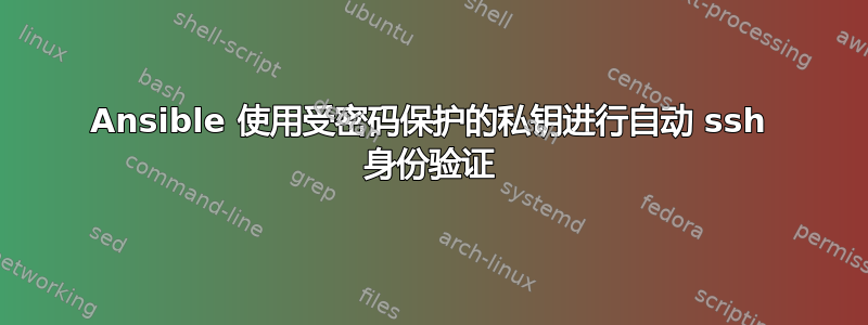 Ansible 使用受密码保护的私钥进行自动 ssh 身份验证