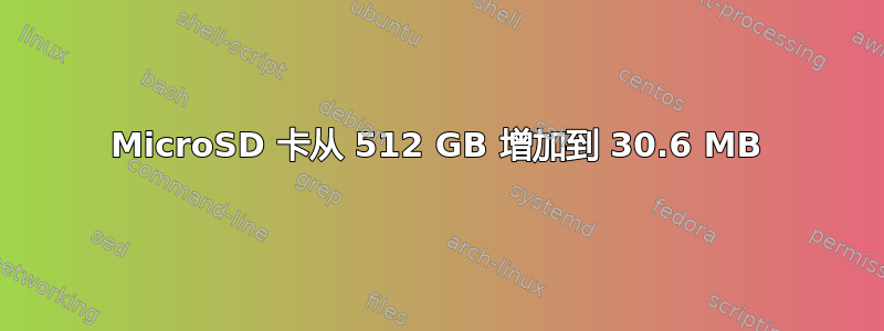 MicroSD 卡从 512 GB 增加到 30.6 MB