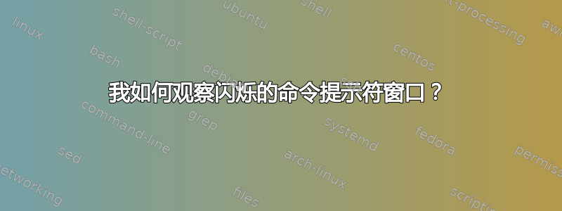 我如何观察闪烁的命令提示符窗口？