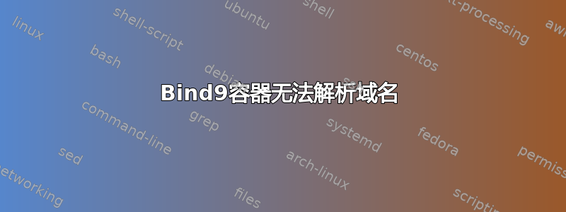 Bind9容器无法解析域名