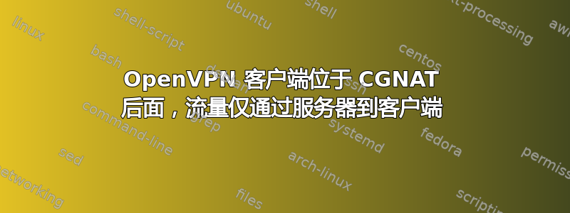 OpenVPN 客户端位于 CGNAT 后面，流量仅通过服务器到客户端