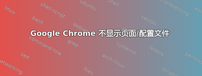 Google Chrome 不显示页面/配置文件