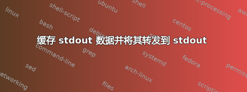 缓存 stdout 数据并将其转发到 stdout